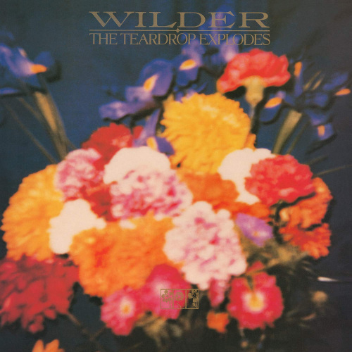 TEARDROP EXPLODES - WILDERTEARDROP EXPLODES - WILDER.jpg